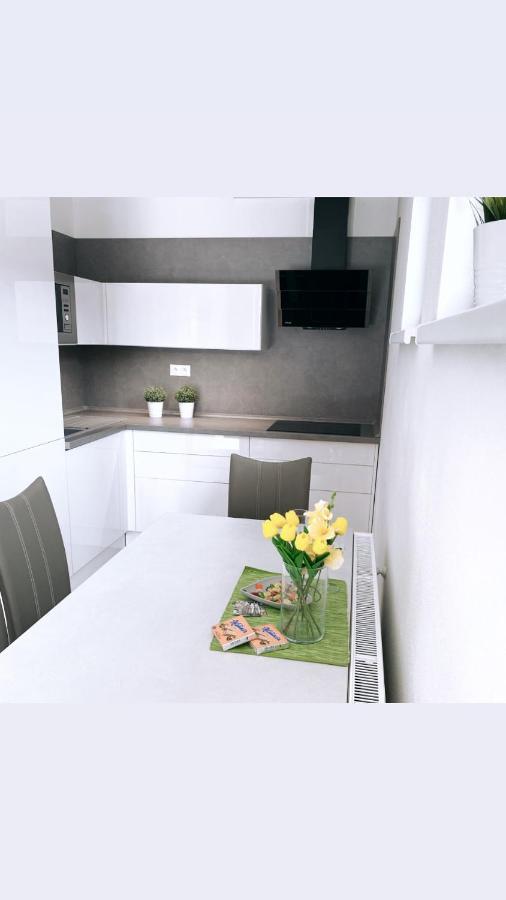 Apartman Monika Lipno nad Vltavou Eksteriør billede